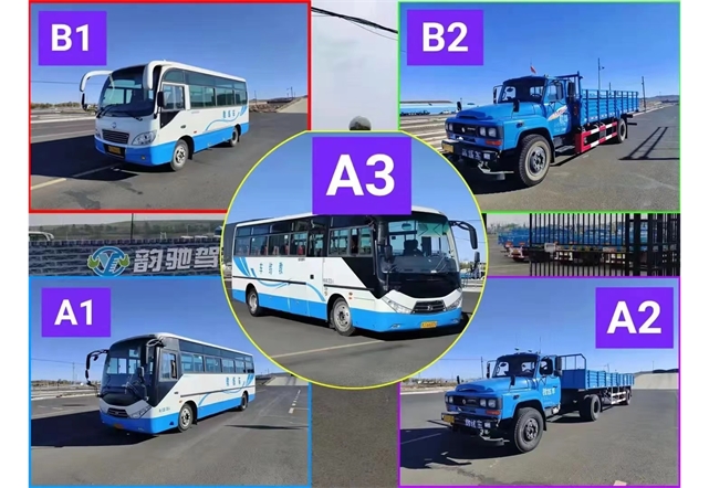 大車(chē)A1.A2.A3.B1.B2